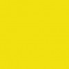 Фасады Фасад из акрила 025 Brimstone Yellow (Серно-желтый) на заказ в Саках