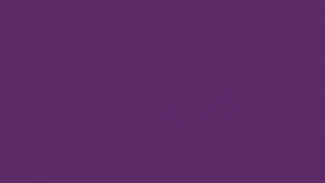  Фасад из акрила 040 Violet (Фиолетовый)