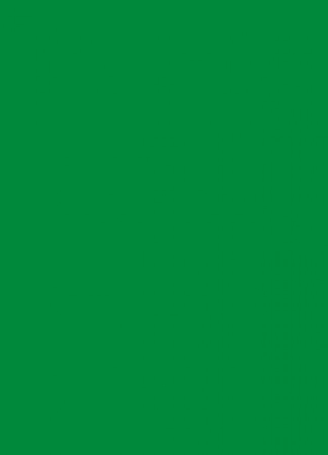 Фасады Фасад из акрила 062 Light green (Светло-зеленый) на заказ в Саках Фасады Фасад из акрила 062 Light green (Светло-зеленый) на заказ в Саках фотография