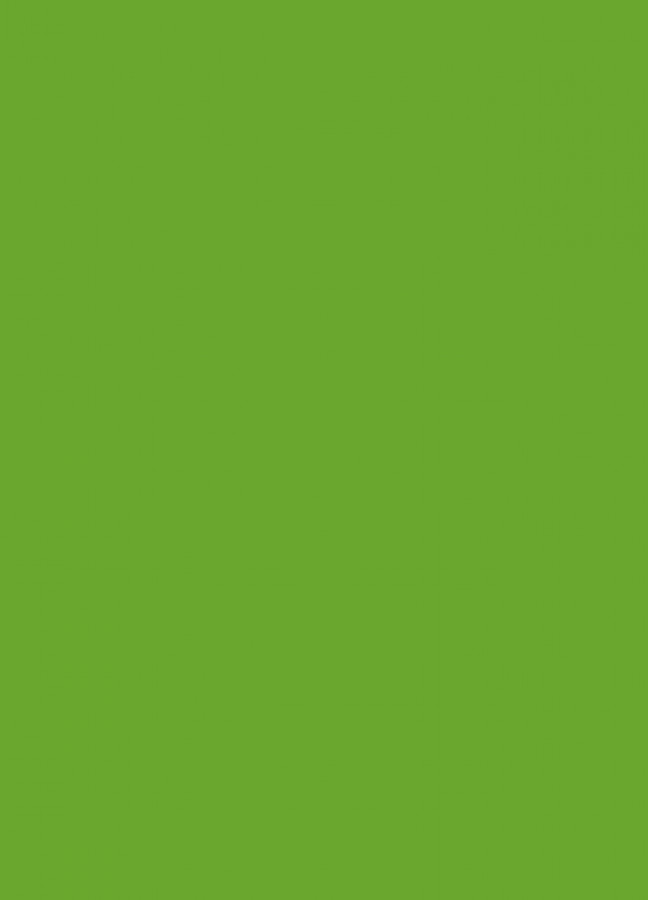 Фасады Фасад из акрила 063 Lime-tree green (Липово-зеленый) на заказ в Саках Фасады Фасад из акрила 063 Lime-tree green (Липово-зеленый) на заказ в Саках фотография