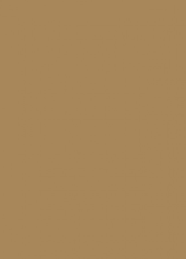 Фасады Фасад из акрила 081 Light brown (Светло-коричневый) на заказ в Саках фотография