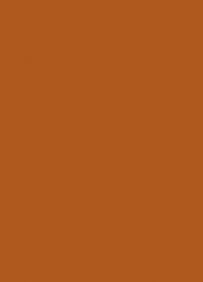 Фасады Фасад из акрила 083 Nut brown (Ореховый) на заказ в Саках Фасады Фасад из акрила 083 Nut brown (Ореховый) на заказ в Саках фотография